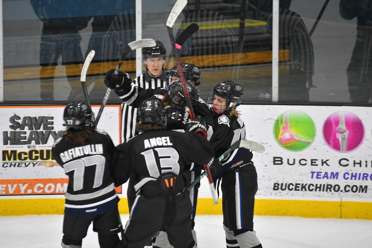 bantam aa ducks story photo